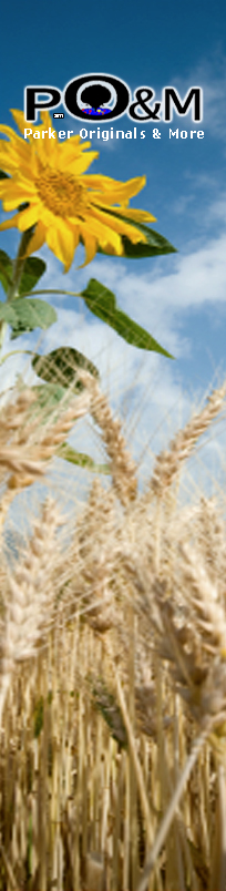 Parker Originals & More - We design African American Greeting Cards, Poetry Magnets, and other Cutural Products. Excellent customer service!